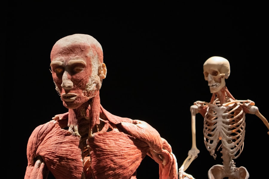 neuromuscular coordination