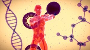 Photo neuromuscular coordination
